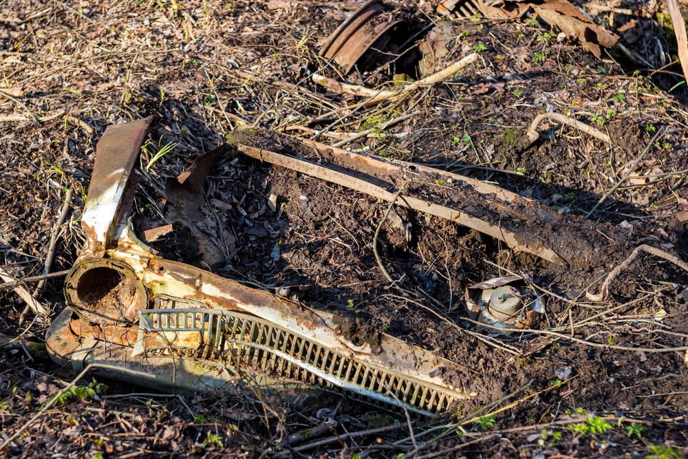 The crazy quarantine discovery, a car buried in the backyard